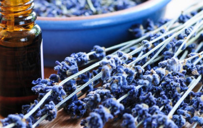Eterično olje sivke (Lavandula) Eterično olje sivke (Lavandula)